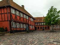 Ribe